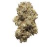 Buy Jack Herer Strain UK