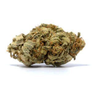 Where to Buy White Widow online