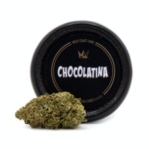 Chocolatina strain